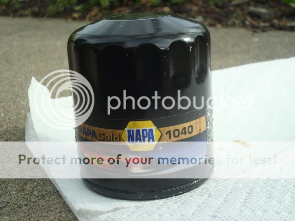 NAPA Gold 1040 Cut open Bob Is The Oil Guy